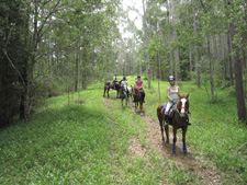 Australia-NSW-Kerewong Hinterland Adventure